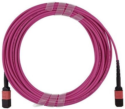 Cable Dell CBL-MPO12DD-2MPO12-OM4-5M Fiber Optic 5m NEW