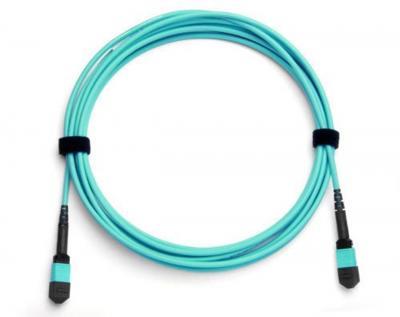 DELL MTP12 TO MPT12 OM4 ASSEMBLY OPTICAL FIBER CABLE 25M