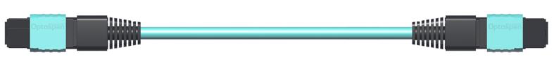CABLE MTP-MTP OM3 24F 5.5MM 8M NEW