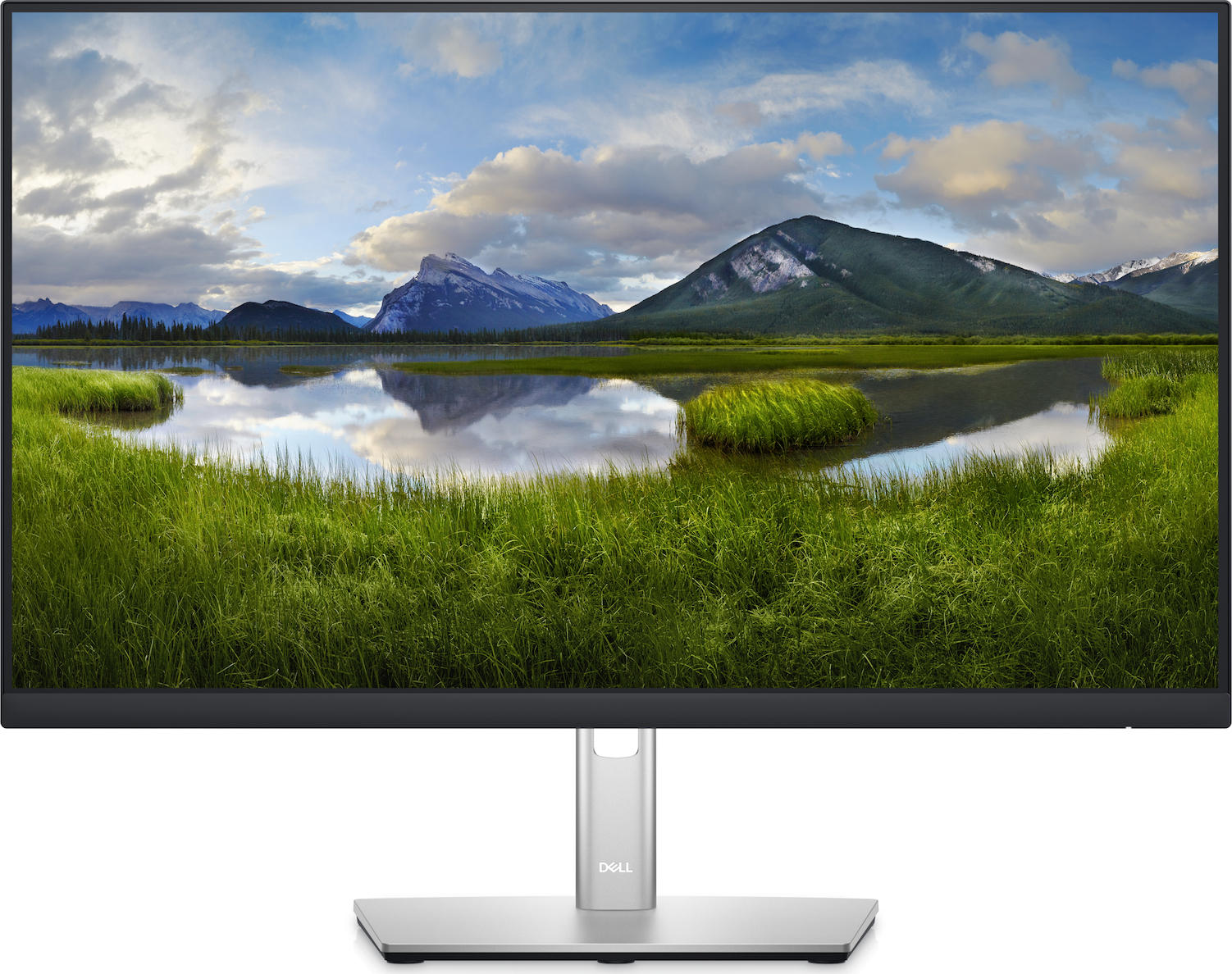 Dell P2422H